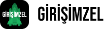 Girişimzel